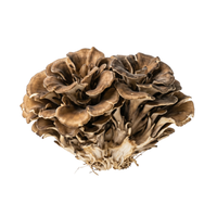 Hongo Maitake